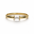 Edler 925 Sterlingsilber Ring mit 24k Vergoldung und Zirkoniastein